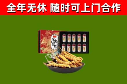 黄石港回收冬虫夏草价格